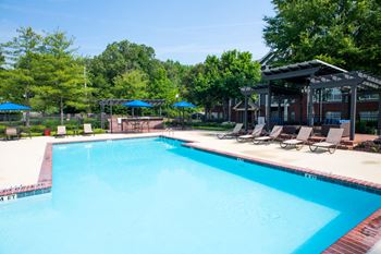 Our apartments showcase a swimming pool